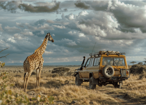 Maasai Mara Safari