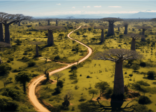 Samburu Reserves and Cultures